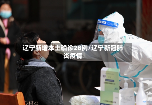 辽宁新增本土确诊28例/辽宁新冠肺炎疫情-第3张图片