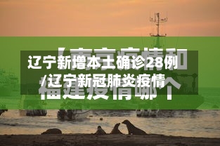 辽宁新增本土确诊28例/辽宁新冠肺炎疫情