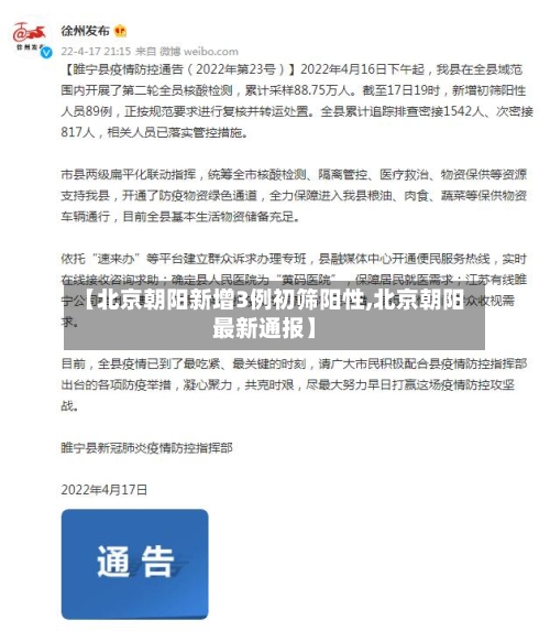 【北京朝阳新增3例初筛阳性,北京朝阳最新通报】-第2张图片