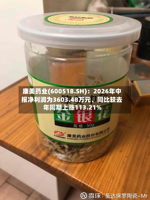 康美药业(600518.SH)：2026年中报净利润为3603.48万元、同比较去年同期上涨113.21%-第3张图片