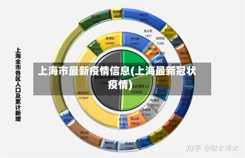 上海市最新疫情信息(上海最新冠状疫情)-第2张图片