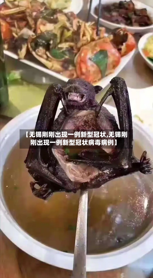 【无锡刚刚出现一例新型冠状,无锡刚刚出现一例新型冠状病毒病例】-第2张图片