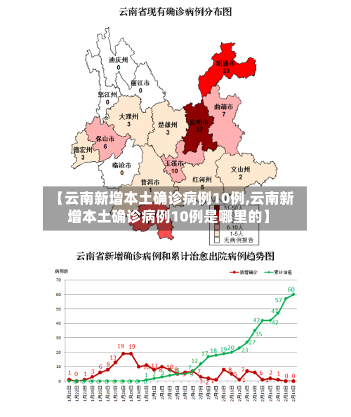 【云南新增本土确诊病例10例,云南新增本土确诊病例10例是哪里的】-第2张图片