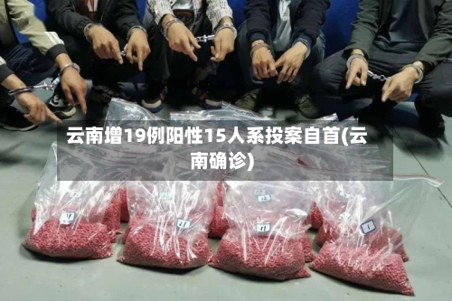云南增19例阳性15人系投案自首(云南确诊)-第3张图片