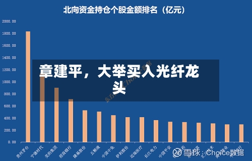 章建平，大举买入光纤龙头