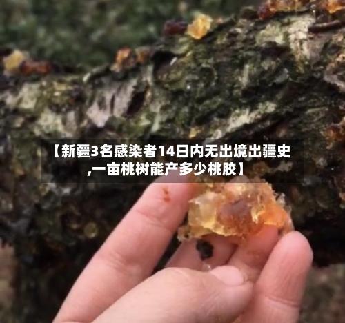 【新疆3名感染者14日内无出境出疆史,一亩桃树能产多少桃胶】