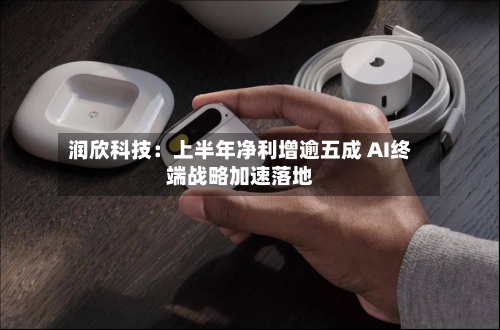 润欣科技：上半年净利增逾五成 AI终端战略加速落地-第2张图片