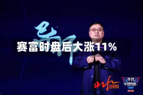 赛富时盘后大涨11%