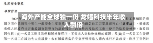 海外产能全球独一份 龙蟠科技半年收入翻倍-第2张图片
