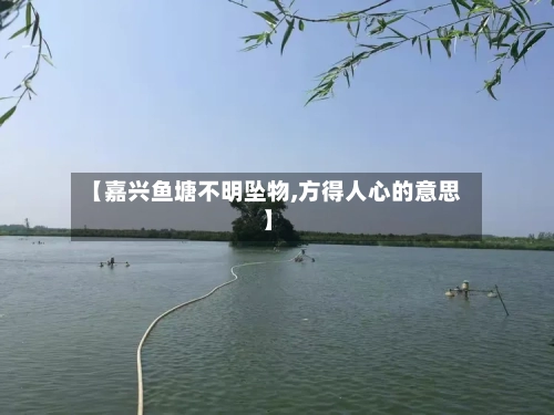 【嘉兴鱼塘不明坠物,方得人心的意思】
