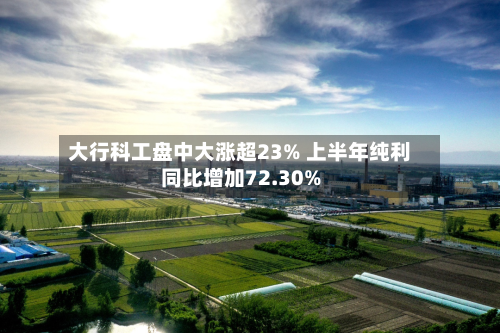 大行科工盘中大涨超23% 上半年纯利同比增加72.30%-第2张图片