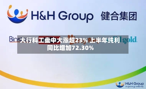 大行科工盘中大涨超23% 上半年纯利同比增加72.30%