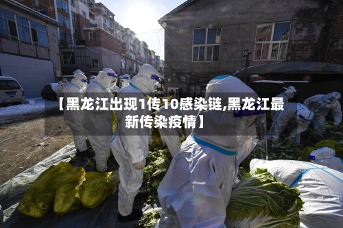 【黑龙江出现1传10感染链,黑龙江最新传染疫情】-第2张图片