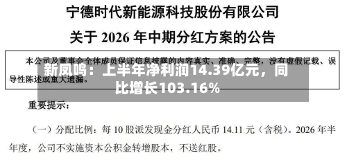 新凤鸣：上半年净利润14.39亿元	，同比增长103.16%-第2张图片