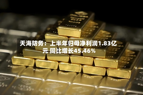 天海防务：上半年归母净利润1.83亿元 同比增长45.46%