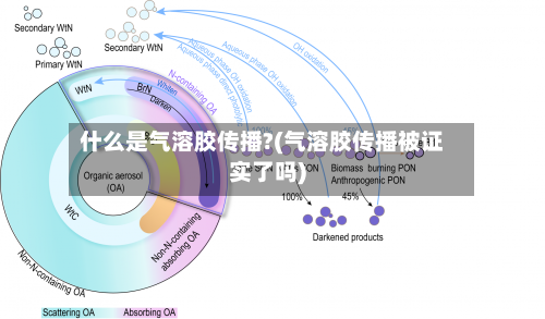 什么是气溶胶传播?(气溶胶传播被证实了吗)-第3张图片
