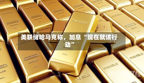 美联储哈马克称，加息 “现在就该行动”-第2张图片