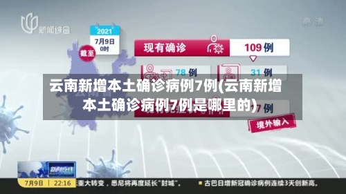 云南新增本土确诊病例7例(云南新增本土确诊病例7例是哪里的)-第2张图片