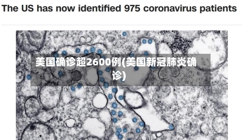 美国确诊超2600例(美国新冠肺炎确诊)