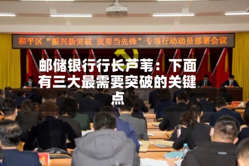 邮储银行行长芦苇：下面有三大最需要突破的关键点-第2张图片