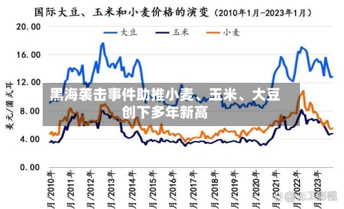 黑海袭击事件助推小麦、玉米、大豆创下多年新高