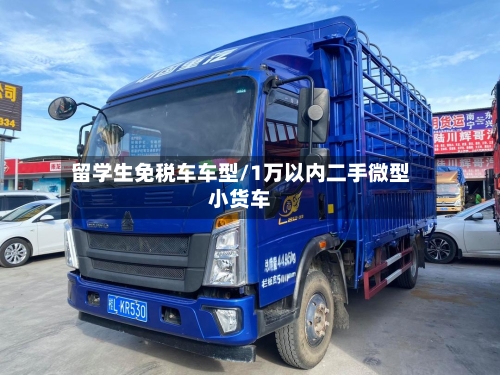 留学生免税车车型/1万以内二手微型小货车-第2张图片