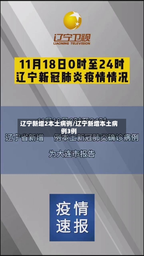 辽宁新增2本土病例/辽宁新增本土病例3例