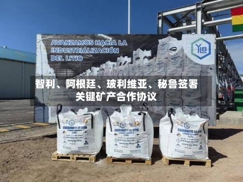 智利	、阿根廷、玻利维亚、秘鲁签署关键矿产合作协议-第3张图片