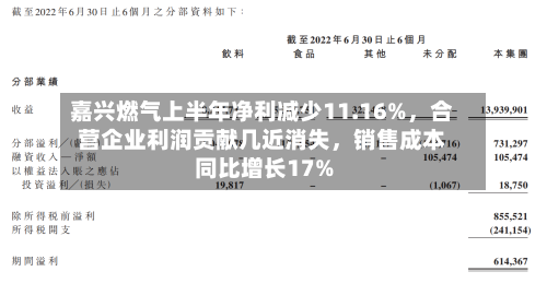 嘉兴燃气上半年净利减少11.16%	，合营企业利润贡献几近消失，销售成本同比增长17%-第3张图片