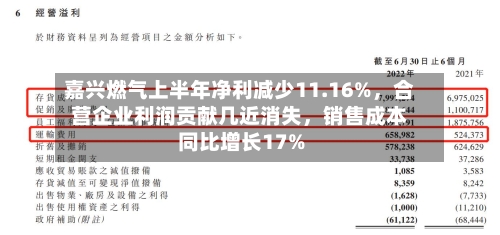 嘉兴燃气上半年净利减少11.16%，合营企业利润贡献几近消失，销售成本同比增长17%-第2张图片
