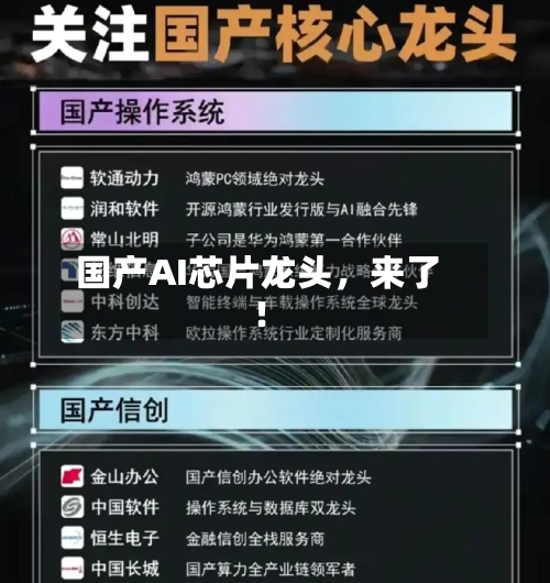 国产AI芯片龙头，来了！-第3张图片
