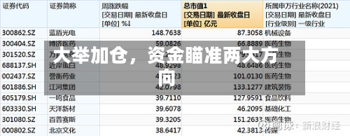 大举加仓，资金瞄准两大方向