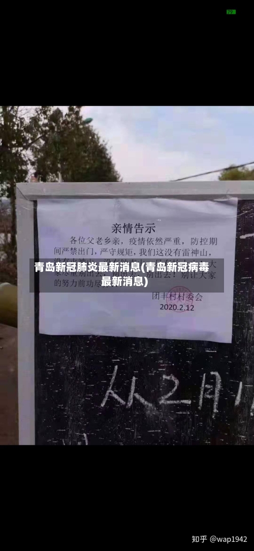青岛新冠肺炎最新消息(青岛新冠病毒最新消息)-第3张图片