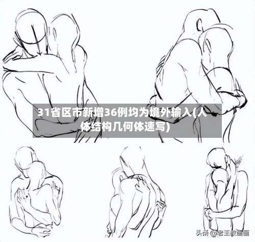31省区市新增36例均为境外输入(人体结构几何体速写)-第2张图片