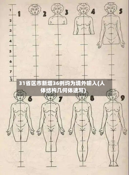 31省区市新增36例均为境外输入(人体结构几何体速写)