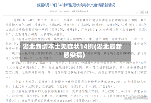 湖北新增本土无症状14例(湖北最新感染病)-第3张图片