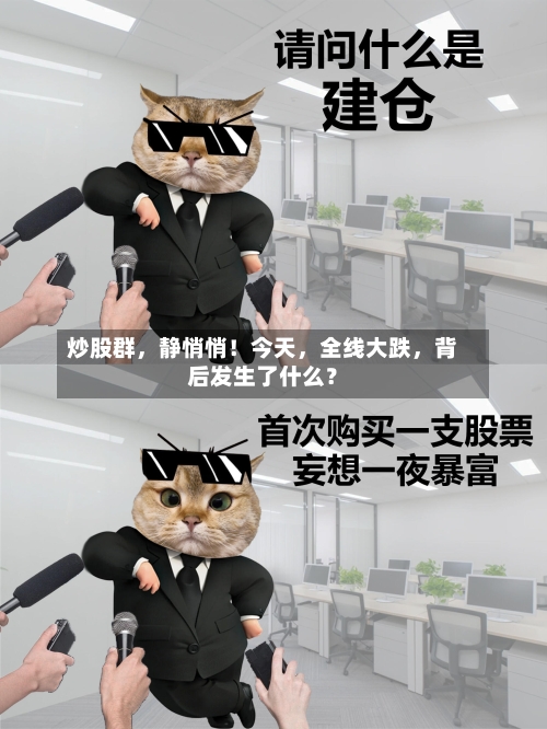 炒股群	，静悄悄！今天，全线大跌，背后发生了什么？-第2张图片