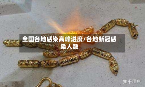 全国各地感染高峰进度/各地新冠感染人数