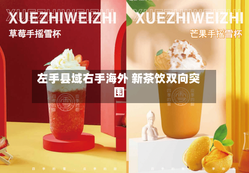 左手县域右手海外 新茶饮双向突围-第3张图片