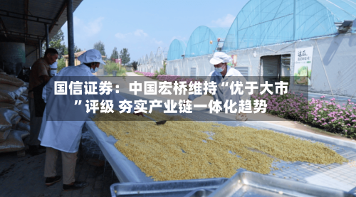 国信证券：中国宏桥维持“优于大市	”评级 夯实产业链一体化趋势-第3张图片
