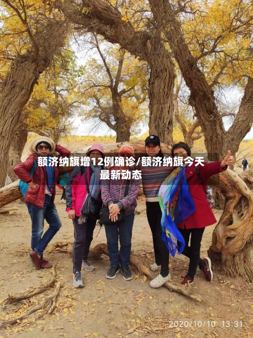额济纳旗增12例确诊/额济纳旗今天最新动态-第3张图片
