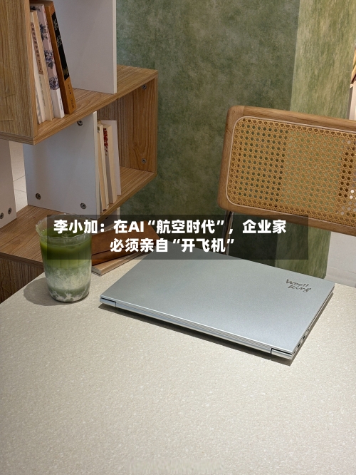 李小加：在AI“航空时代”，企业家必须亲自“开飞机”-第2张图片